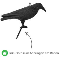 6x Rabe Taubenschreck Vogel Taubenabwehr Vogelschreck schwarz Abwehr 