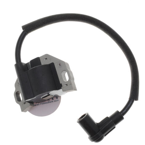 Module De Bobine D'allumage Compatible Avec Honda GCV135 GCV160 GCV190 Gsv160 Lefou 76349326