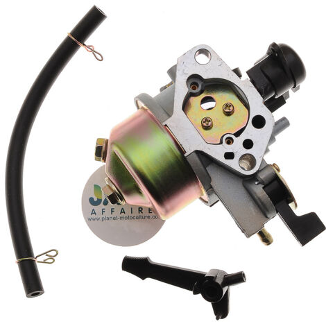 Carburateur compatible avec Honda remplace 16100-Z1F-W02 (1/3)