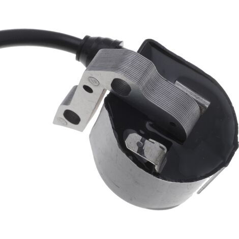 Bobine D'allumage Pour Souffleur De Feuilles - Compatible BR340, BR380, BR420, SR320, SR400 Et Autres