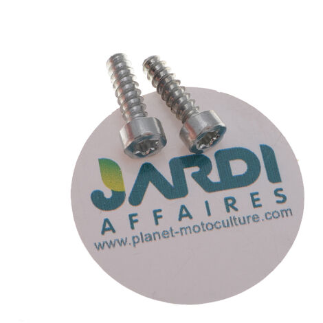 Jeu de 2 vis de serrage P5x18-T27 remplace 9074 478 4135 (1/3)
