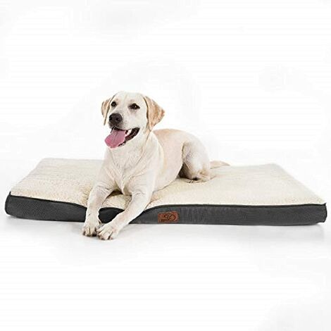 orthopedic foam crate pad