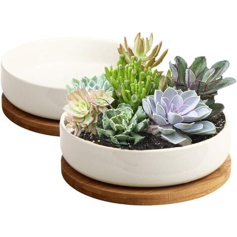 Succulent Pots, 6 inch White Ceramic Flower Planter Pot with Bamboo Tray, Pack of 2 - Plants Not Included