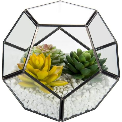 Glass Geometric Terrarium Container, 6.7'' Air Plant Holder Window Sill Decor Shelves, Succulent Plant Cacti Fern Flower Pot Container, Geometric Decor for Air Plant, Diamond Shape