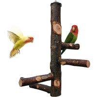 Bird Perch Natural Fruit Wood Stand Toy Branch Paw Grinding Standing Climbing Toy Cage Accessories for Small and Medium Parrots,Parakeets,Lovebirds,African Grey,Cockatiels