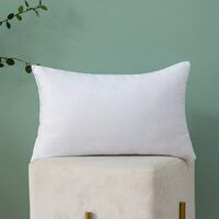 Throw Pillow Insert Hypoallergenic Premium Pillow Stuffer Sham Rectangle for Decorative Cushion Bed Couch Sofa 12x20 Inch
