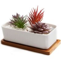 16.5cm White Ceramic Succulent Pot with Bamboo Tray, Flower Box Cactus Plant Planter Planter Planter Planter Container Birthday Wedding Gift