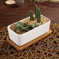 16.5cm White Ceramic Succulent Pot with Bamboo Tray, Flower Box Cactus Plant Planter Planter Planter Planter Container Birthday Wedding Gift