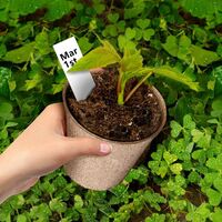 110 Packs 3.2 Inch Peat Pots, Seeds Starter Peat Pots, Biodegradable Herb Seed Starter Pots Kits, Garden Germination Nursery Pot with 110 Pcs Plant Labels
