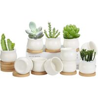 12 Pack Succulent Pots, 2.6 Inch Mini Ceramic Pots for Flower or Cactus with Drainage Hole, Small Pots for Plants, Plants Not Included