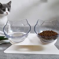 Cat Bowl with Raised Stand, Double Cat Bowl, Bowl Cat Food, Bowl for Cats or Small Dogs Transparent, Inclined; & agrave; 15 ° to Reduce Neck Pain