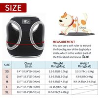 Breathable Puppy Vest Harness Adjustable Pet Lead Chest Walking Leash for Dog Cat MZ083 (S, Red)