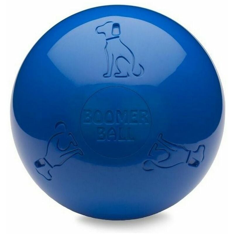 Juguete para perros Company of Animals Boomer Azul (250mm) 0886284434409 S6100652 Company of Animals