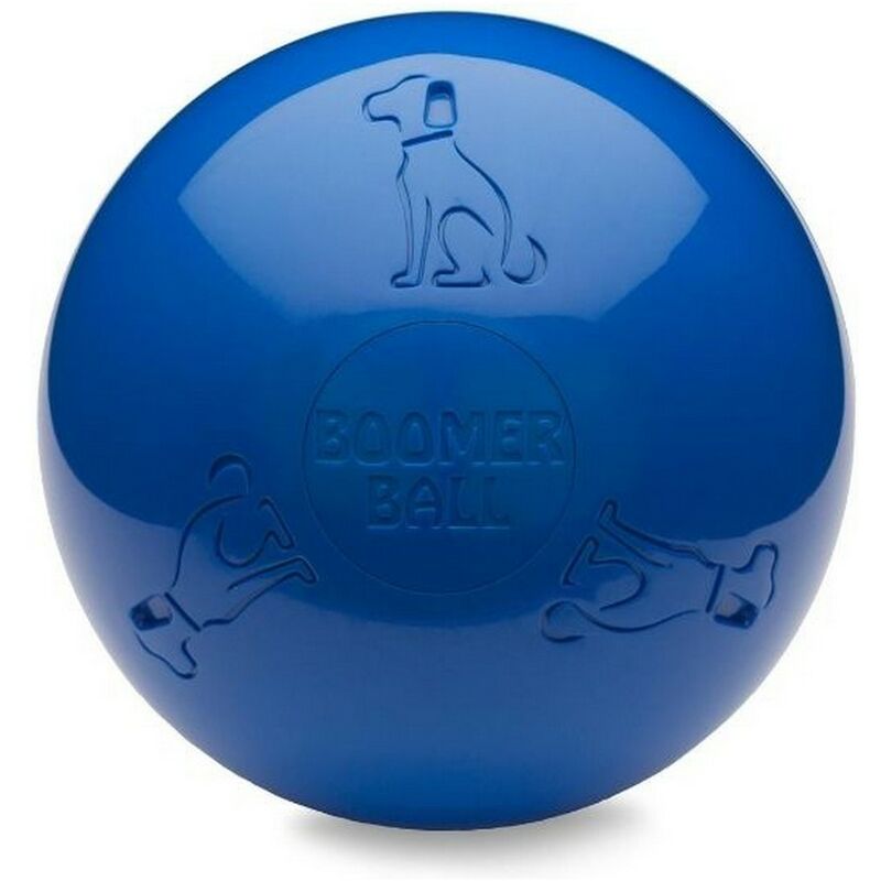 Juguete para perros Company of Animals Boomer Azul (200mm) 0886284433402 S6100559 Company of Animals