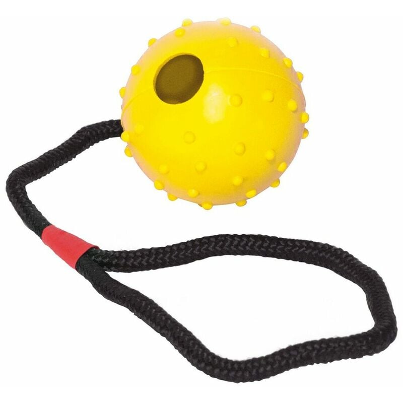 Pelota Para Perros con cuerda redonda gloria 6 cm x 30 de largo bola flexible y resistente juguetes mordedor 8432288172636 s6102227