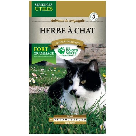 Graines Herbe A Chat Sachet Eco