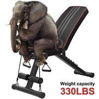 Adjustable Weight Bench Home Training Gym Weight Lifting Sit Up Ab Bench Flat Incline Multiuse Exercise