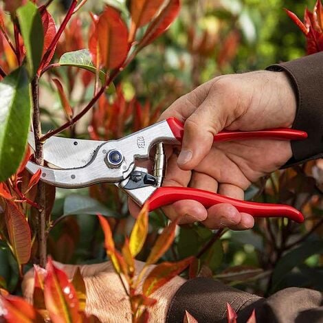 SVETTATOIO FELCO 2 [FELCO ] : : Giardino e giardinaggio