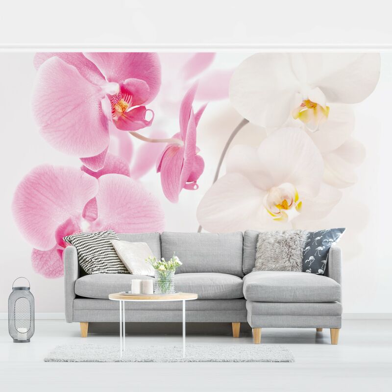 Carta da parati - Carta da parati floreale con orchidea - Svelte Orchids  Dimensione HxL: 190cm x 288cm