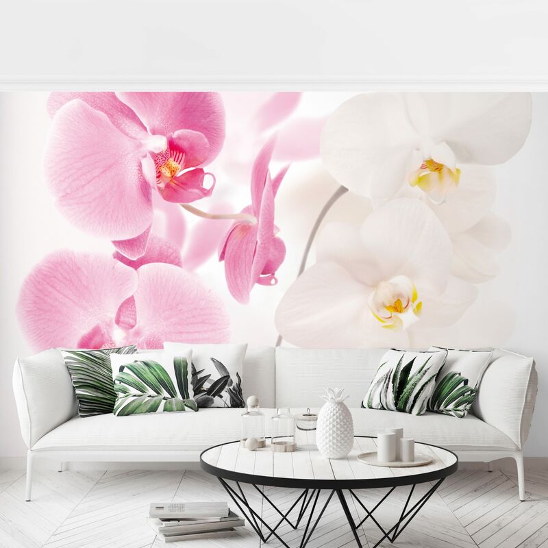 Carta da parati Premium - Delicate Orchidee - Orizzontale Dimensione HxL: 190cm  x 288cm Tessuto non tessuto