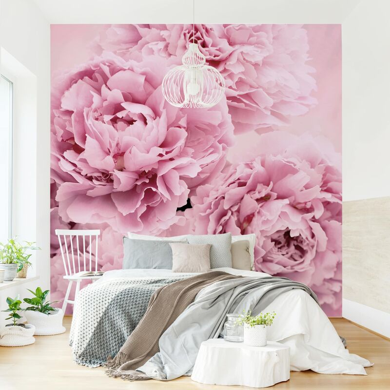 Carta da parati adesiva floreale - Peonie rosa in fiore - Formato quadrato  Dimensione HxL: 192cm x 192cm