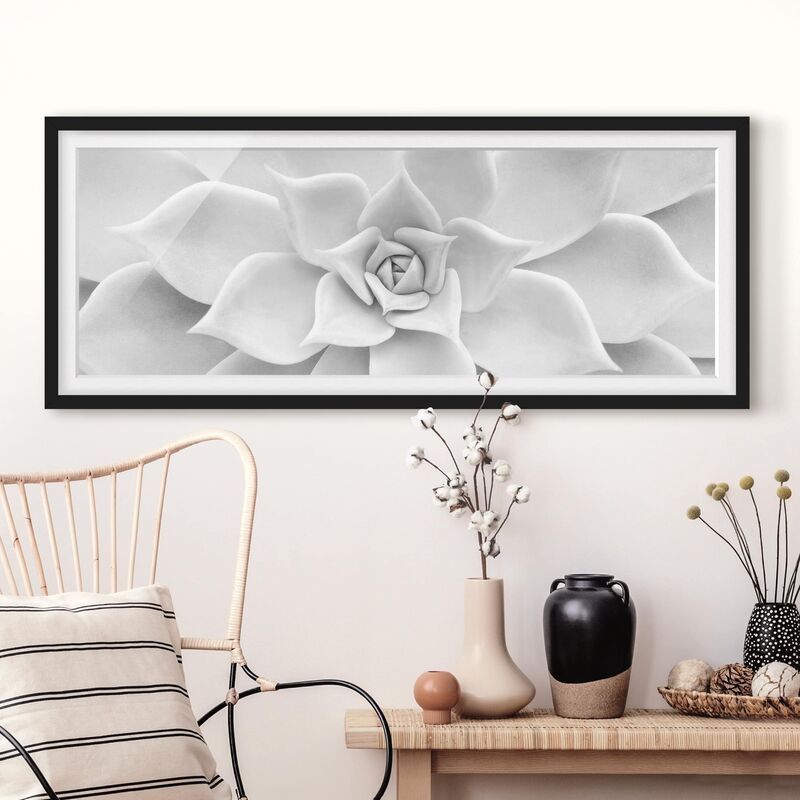 Poster con cornice - Cactus Succulente Dimensione HxL: 20cm x 50cm, Colore  cornice: Nero