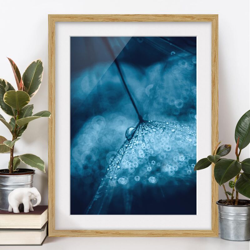 Poster con cornice - Tarassaco Blu In The Rain Dimensione HxL: 24cm x 18cm,  Colore cornice: Rovere