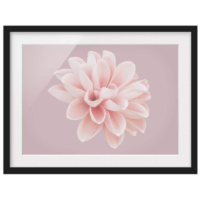 Poster con cornice - Leone con Succulente Dimensione HxL: 24cm x 18cm,  Colore cornice: Rovere