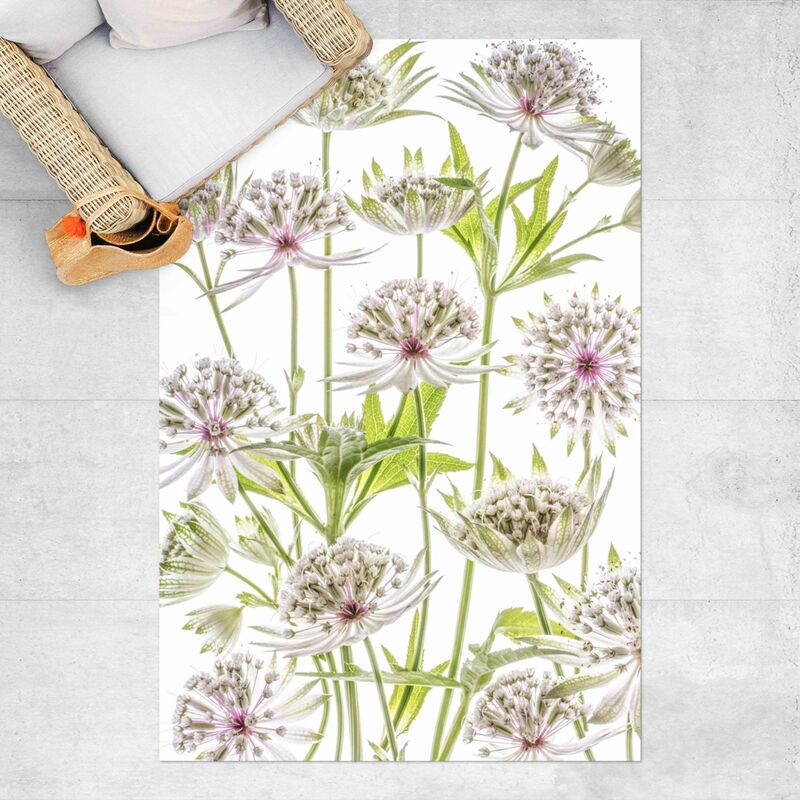 Tappeti in vinile - Grande Astrantia - Verticale 3:2 Dimensione HxL: 60cm x  40cm