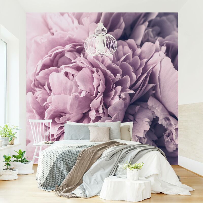 Carta da parati - Viola Peony Blossoms - Formato quadrato Dimensione HxL:  192cm x 192cm