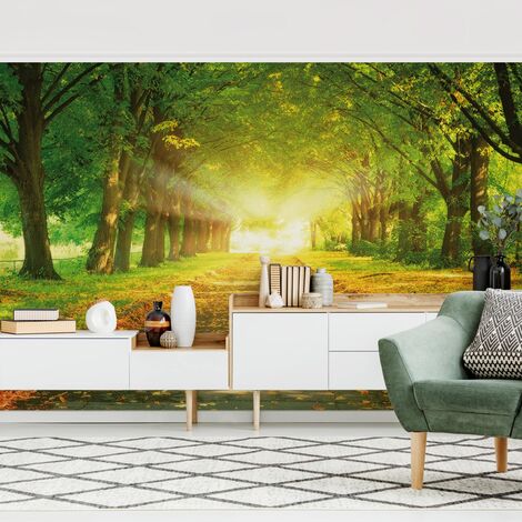 Carta da parati adesiva 3D foresta - Viale in Autunno Dimensione HxL: 190cm  x 288cm