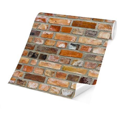 Carta da parati adesiva muro 3D - Colors Of The Wall - Formato quadrato  Dimensione HxL: 192cm x
