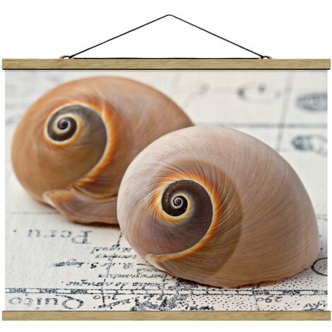 Foto su tessuto da parete con bastone - Shell Duo - Orizzontale 3:4  Dimensione HxL: 26cm x