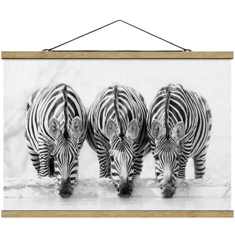 Foto su tessuto da parete con bastone - Zebra Trio Bianco e nero -  Orizzontale 2:3 Dimensione