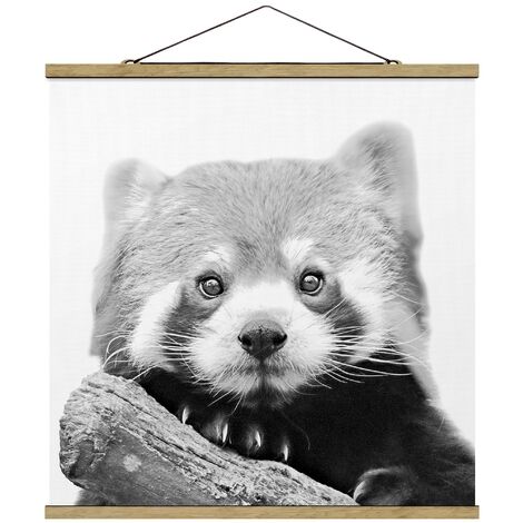 Set 3 poster panda, Quadri camera bambini, 3 Stampe panda