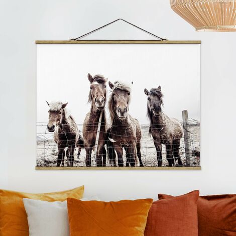 Foto su tessuto da parete con bastone - Cavallo d'Islanda - Orizzontale 3:4  Dimensione HxL: 26cm