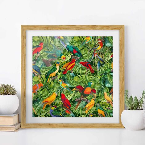 Poster con cornice - Colorato collage - Parrot In The Jungle Dimensione  HxL: 20cm x 20cm, Colore cornice
