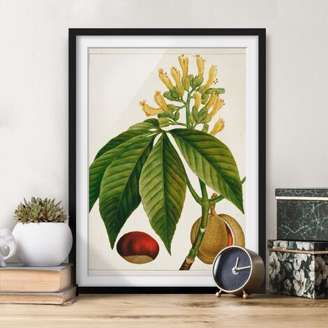 Poster con cornice - Colorato collage - Cacatua In The Jungle Dimensione  HxL: 24cm x 18cm, Colore cornice