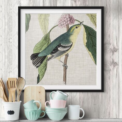 Poster con cornice - Bird On Linen Pink I Dimensione HxL: 20cm x 20cm,  Colore cornice: Nero