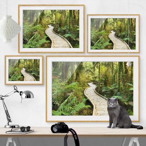 Poster con cornice - Path In The Jungle Dimensione HxL: 18cm x