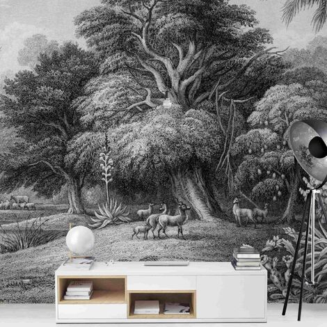 Carta da parati - Incisione sul rame tropicale in caldo grigio Dimensione  HxL: 192cm x 192cm Materiale: