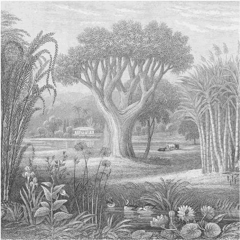 Carta da parati - Incisione sul rame tropicale giardino con stagno in  grigio Dimensione HxL: 192cm x