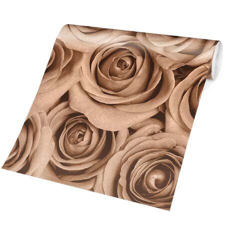 Carta da parati - Vintage Rose - Orizzontale Dimensione HxL: 190cm x 288cm