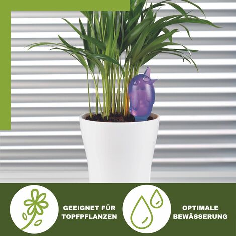 white strelitzia Bird of Paradise (White) – Green Thumb Nursery main image 1