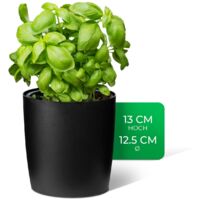 Novaliv Kräutertopf 1x Kräutertöpfe
