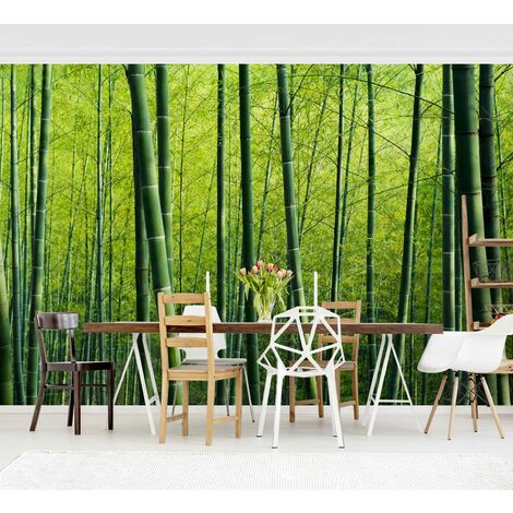 Papel pintado adhesivo - Bamboo Forest - Mural cuadrado Dimensión LxA:  192cm x 192cm