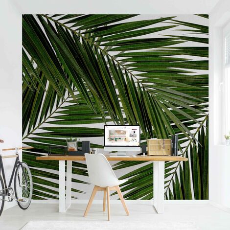 MICASIA - Fotomural - View Through Green Palm Leaves Dimensión LxA: 288cm x 288cm
