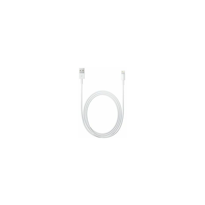 Apple Lightning - USB