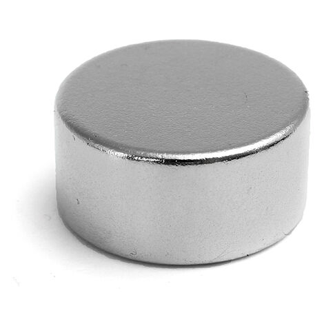 1X 20mmx10mm N52 Round Neodymium Magnets WASHED