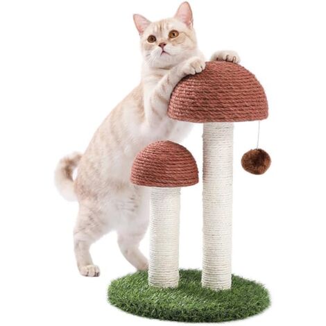 Arbre à chat en sisal naturel avec griffoir en forme de champignon, jouet interactif pour escalade et repos (1/5)